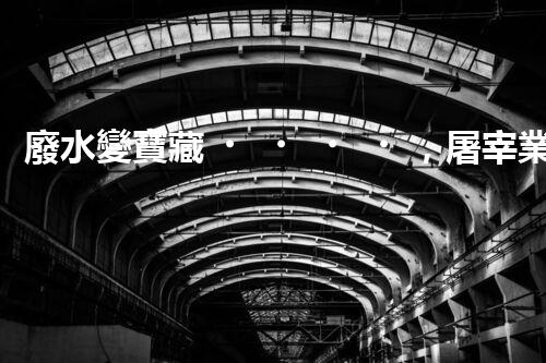 廢水變寶藏，屠宰業(yè)如何實(shí)現(xiàn)綠色處理？